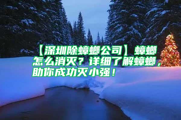 【深圳除蟑螂公司】蟑螂怎么消滅？詳細(xì)了解蟑螂，助你成功滅小強(qiáng)！
