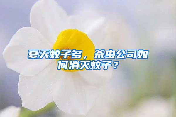 夏天蚊子多，殺蟲公司如何消滅蚊子？