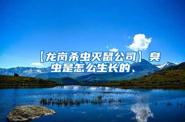 【龍崗殺蟲(chóng)滅鼠公司】臭蟲(chóng)是怎么生長(zhǎng)的、