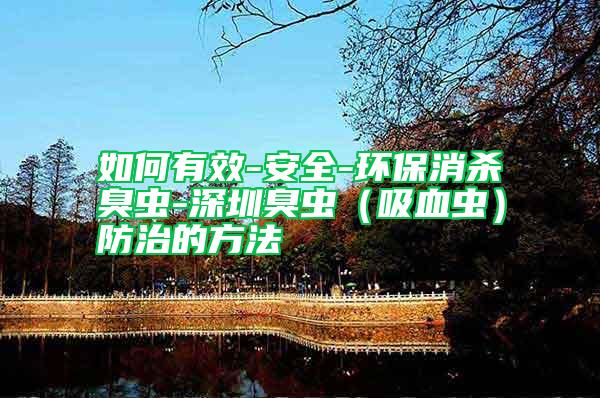 如何有效-安全-環(huán)保消殺臭蟲-深圳臭蟲（吸血蟲）防治的方法
