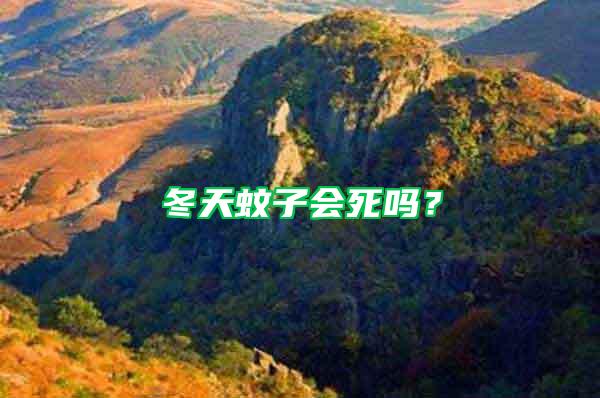 冬天蚊子會死嗎？