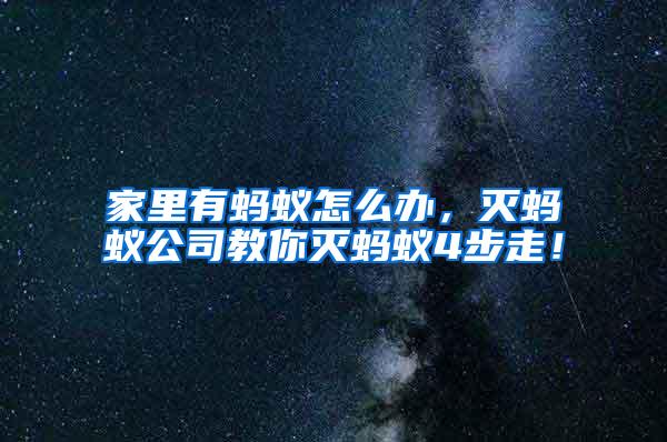 家里有螞蟻怎么辦，滅螞蟻公司教你滅螞蟻4步走！