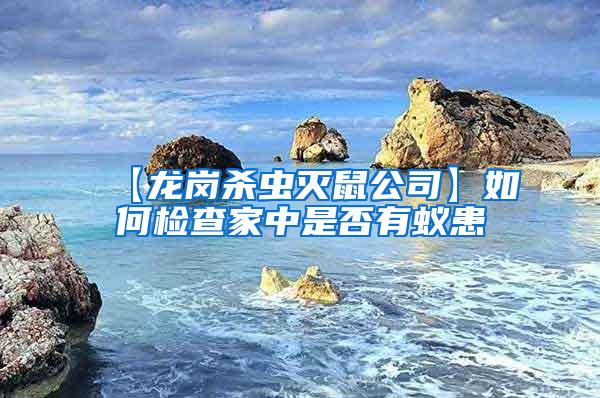 【龍崗殺蟲(chóng)滅鼠公司】如何檢查家中是否有蟻患