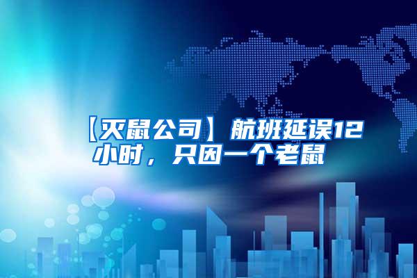 【滅鼠公司】航班延誤12小時,只因一個老鼠