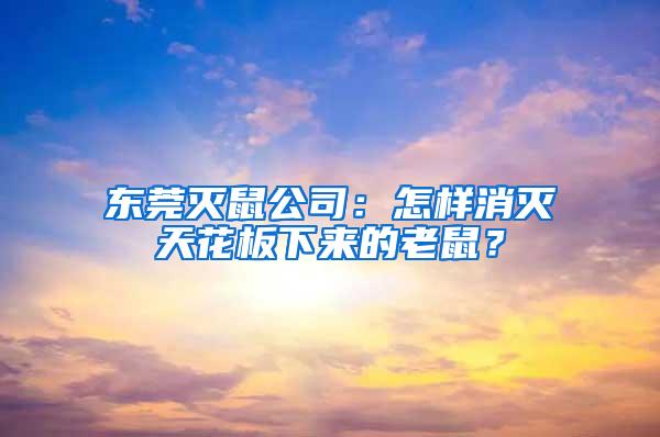 東莞滅鼠公司：怎樣消滅天花板下來的老鼠？