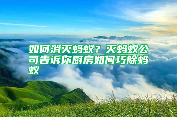 如何消滅螞蟻？滅螞蟻公司告訴你廚房如何巧除螞蟻