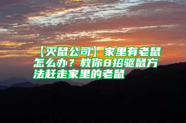 【滅鼠公司】家里有老鼠怎么辦？教你8招驅(qū)鼠方法趕走家里的老鼠