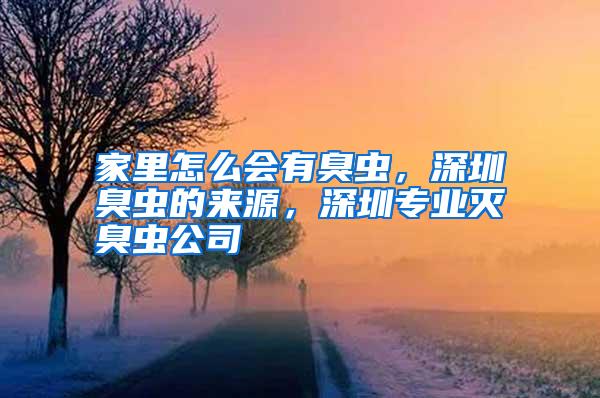 家里怎么會有臭蟲，深圳臭蟲的來源，深圳專業(yè)滅臭蟲公司