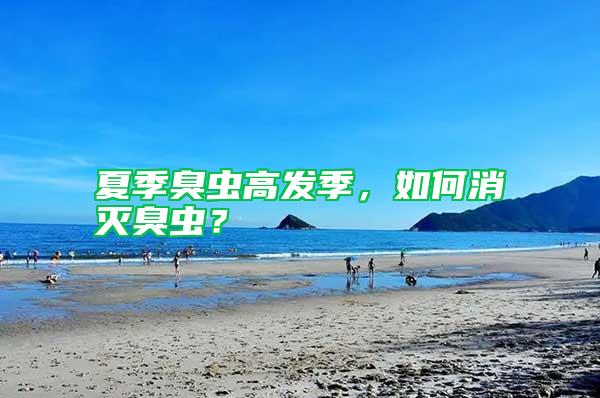 夏季臭蟲高發(fā)季，如何消滅臭蟲？