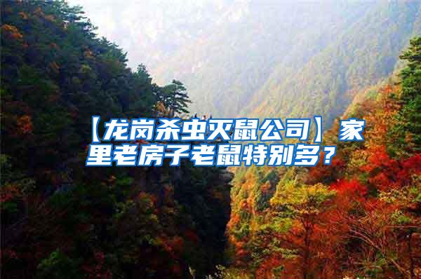 【龍崗殺蟲(chóng)滅鼠公司】家里老房子老鼠特別多？