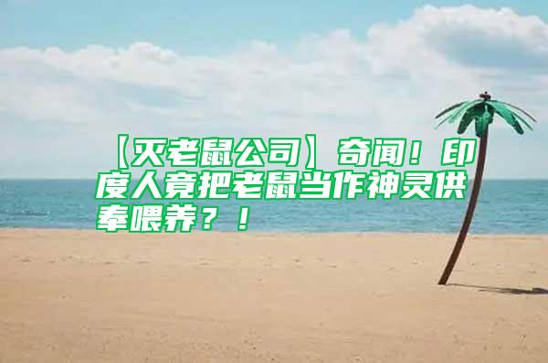【滅老鼠公司】奇聞！印度人竟把老鼠當(dāng)作神靈供奉喂養(yǎng)？！