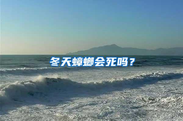 冬天蟑螂會死嗎？