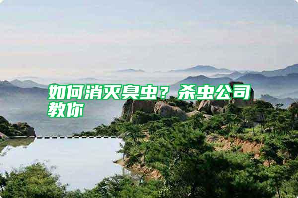 如何消滅臭蟲？殺蟲公司教你