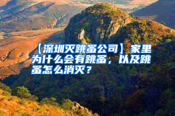 【深圳滅跳蚤公司】家里為什么會(huì)有跳蚤，以及跳蚤怎么消滅？