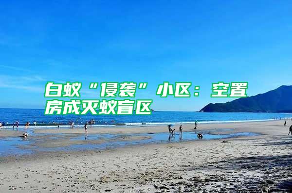 白蟻“侵襲”小區(qū)：空置房成滅蟻盲區(qū)