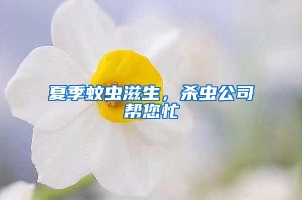 夏季蚊蟲滋生，殺蟲公司幫您忙
