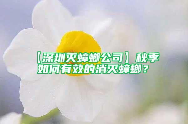 【深圳滅蟑螂公司】秋季  如何有效的消滅蟑螂？