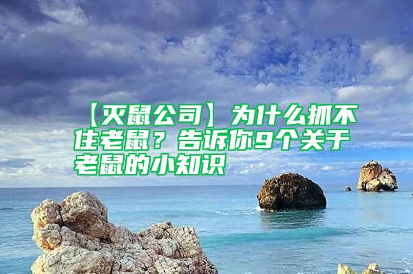 【滅鼠公司】為什么抓不住老鼠？告訴你9個關于老鼠的小知識