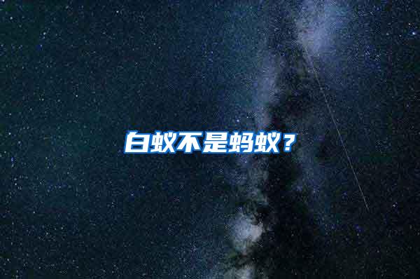 白蟻不是螞蟻？
