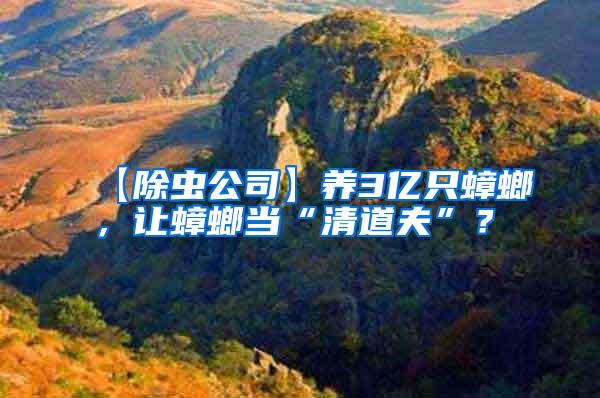 【除蟲公司】養(yǎng)3億只蟑螂，讓蟑螂當(dāng)“清道夫”？