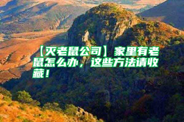 【滅老鼠公司】家里有老鼠怎么辦，這些方法請(qǐng)收藏！