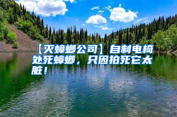 【滅蟑螂公司】自制電椅處死蟑螂，只因拍死它太臟！