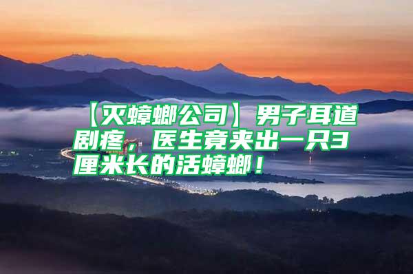 【滅蟑螂公司】男子耳道劇疼，醫(yī)生竟夾出一只3厘米長的活蟑螂！