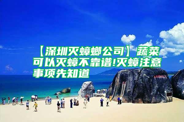 【深圳滅蟑螂公司】蔬菜可以滅蟑不靠譜!滅蟑注意事項(xiàng)先知道