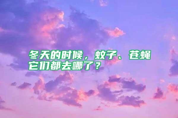 冬天的時候，蚊子、蒼蠅它們都去哪了？