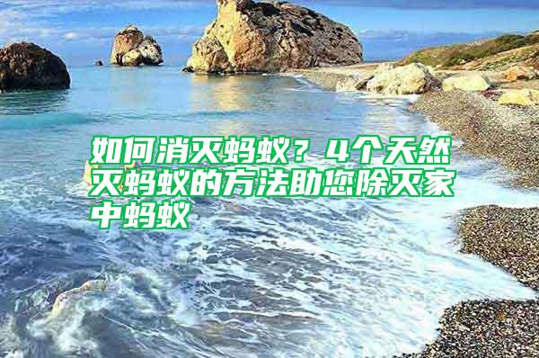如何消滅螞蟻？4個(gè)天然滅螞蟻的方法助您除滅家中螞蟻