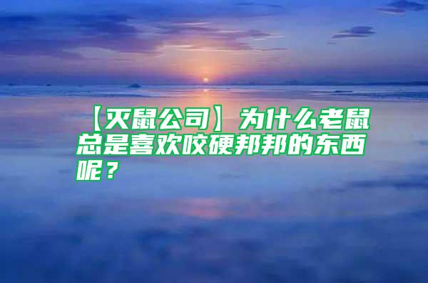 【滅鼠公司】為什么老鼠總是喜歡咬硬邦邦的東西呢?