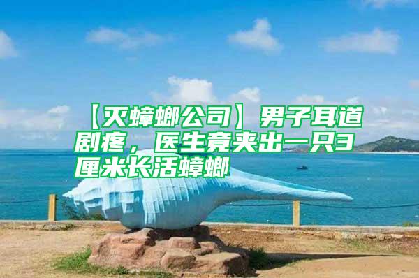 【滅蟑螂公司】男子耳道劇疼，醫(yī)生竟夾出一只3厘米長(zhǎng)活蟑螂