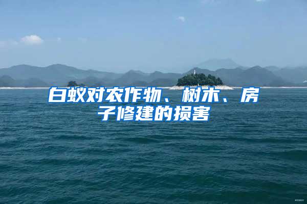 白蟻對農(nóng)作物、樹木、房子修建的損害