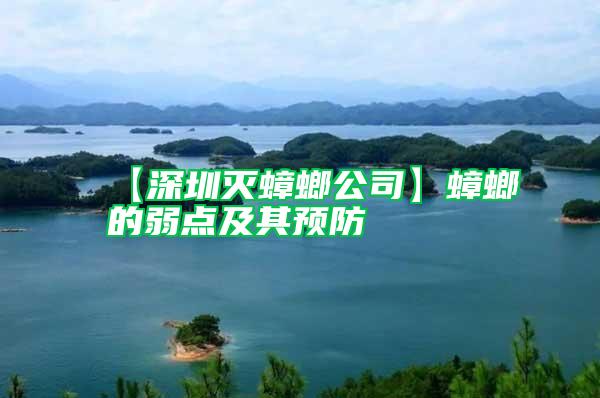 【深圳滅蟑螂公司】蟑螂的弱點及其預(yù)防