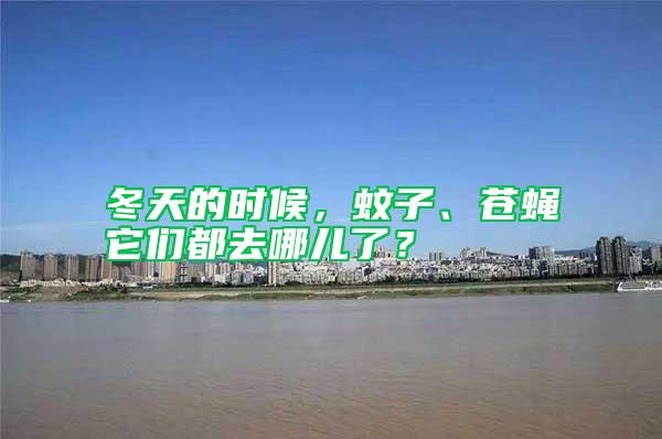 冬天的時(shí)候，蚊子、蒼蠅它們都去哪兒了？