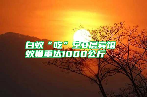 白蟻“吃”空8層賓館 蟻巢重達(dá)1000公斤