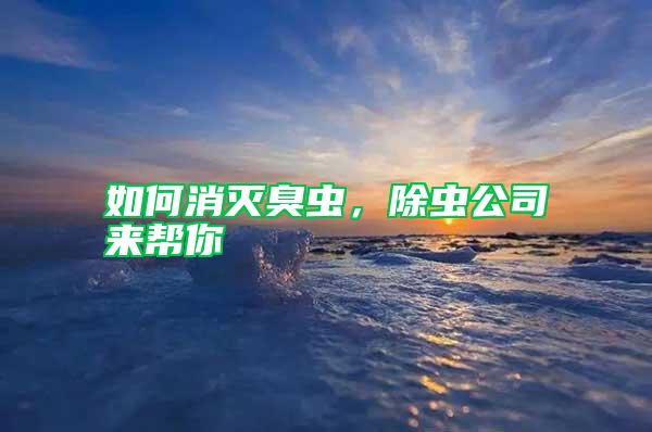 如何消滅臭蟲，除蟲公司來幫你