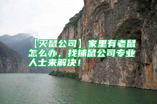 【滅鼠公司】家里有老鼠怎么辦，找捕鼠公司專業(yè)人士來解決！