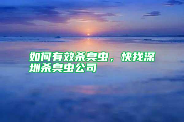如何有效殺臭蟲，快找深圳殺臭蟲公司