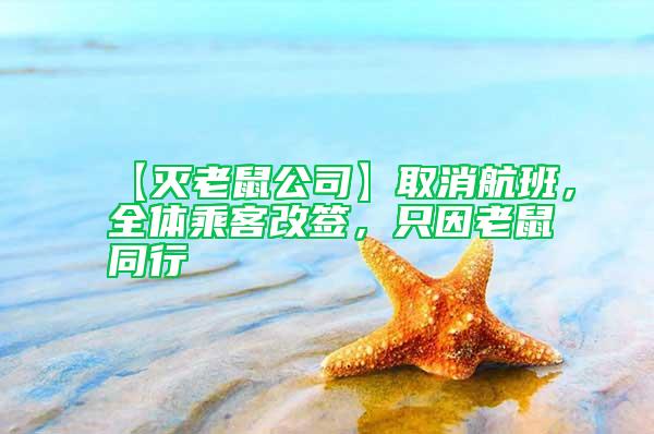 【滅老鼠公司】取消航班，全體乘客改簽，只因老鼠同行