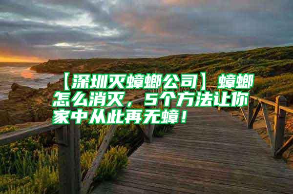 【深圳滅蟑螂公司】蟑螂怎么消滅，5個方法讓你家中從此再無蟑！