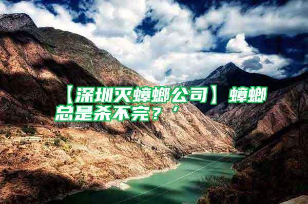 【深圳滅蟑螂公司】蟑螂總是殺不完？’