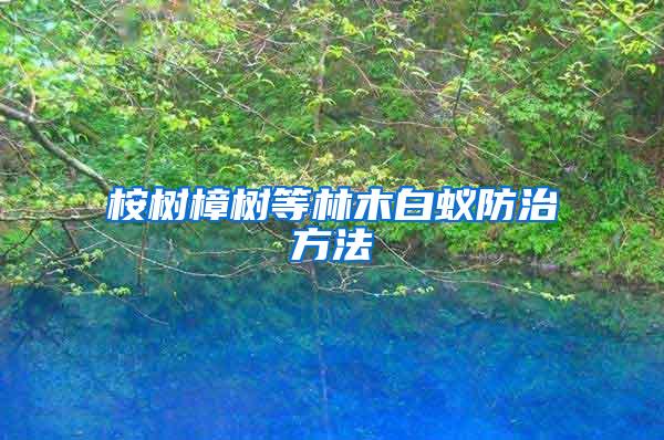 桉樹樟樹等林木白蟻防治方法