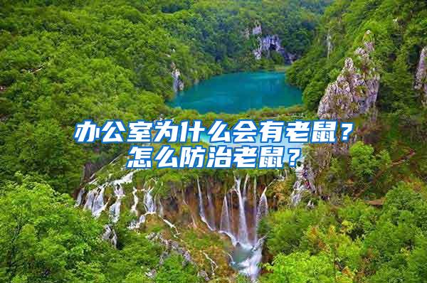 辦公室為什么會有老鼠？怎么防治老鼠？