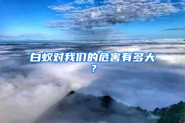 白蟻對(duì)我們的危害有多大？
