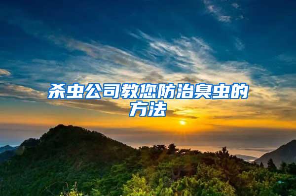 殺蟲(chóng)公司教您防治臭蟲(chóng)的方法