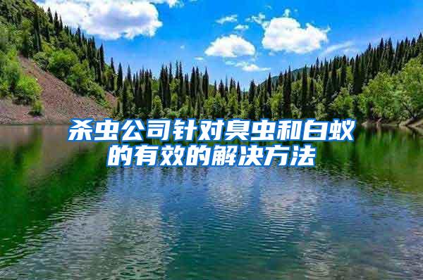 殺蟲(chóng)公司針對(duì)臭蟲(chóng)和白蟻的有效的解決方法