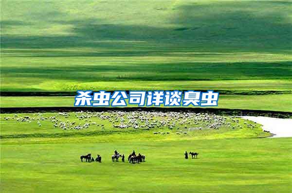 殺蟲(chóng)公司詳談臭蟲(chóng)