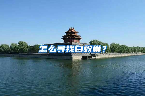 怎么尋找白蟻巢？