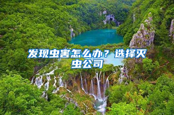 發(fā)現(xiàn)蟲(chóng)害怎么辦？選擇滅蟲(chóng)公司